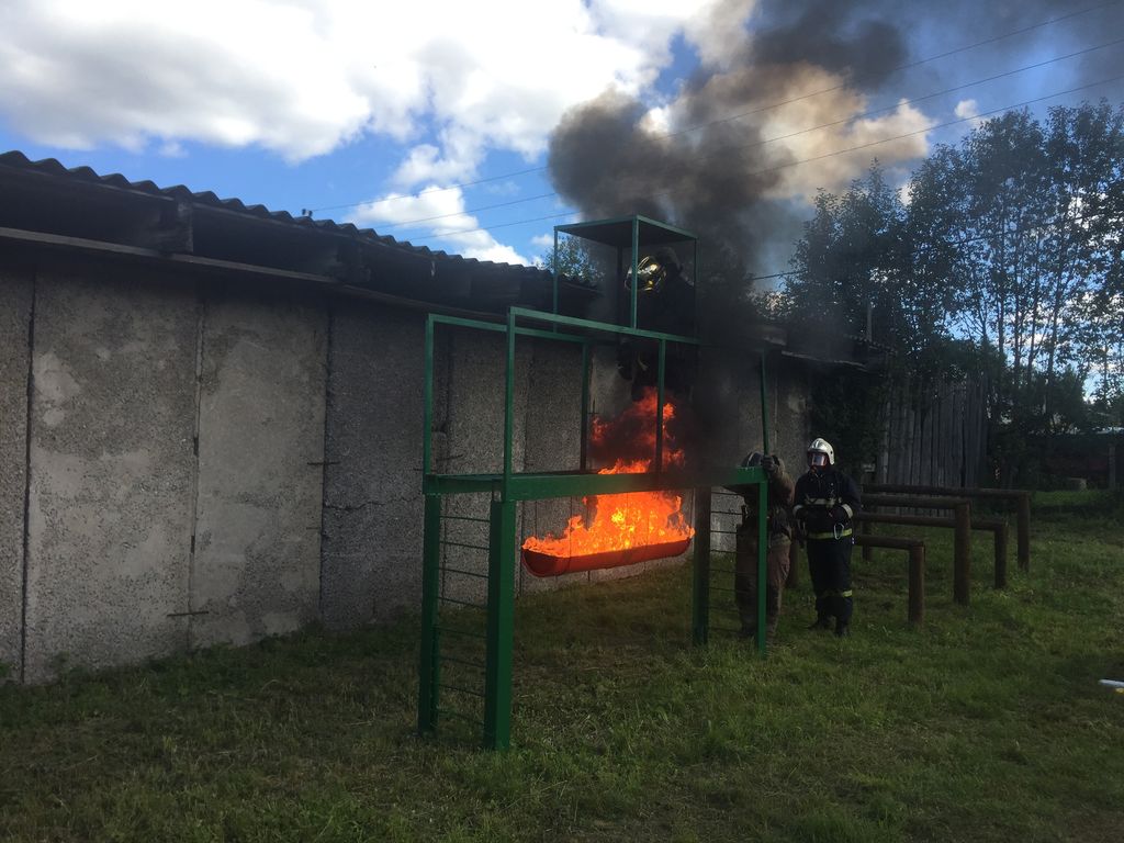 Погода в лодейном на неделю. Пожарная часть Лодейное поле. Лодейное поле медведь. Пожарные Лодейное поле. Урно Лодейное поле.