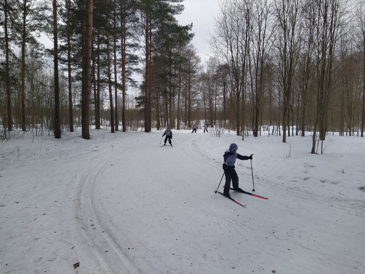 Новоорловский парк Лыжня